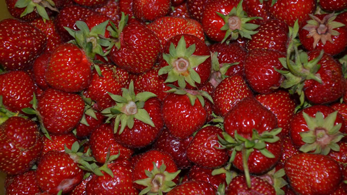 点击大图看下一张：一组酸甜可口红红的草莓图片欣赏