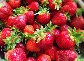 一组酸甜可口红红的草莓图片欣赏