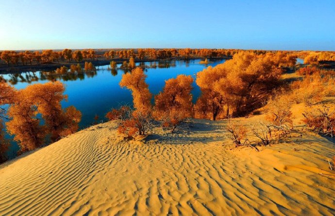 点击大图看下一张：沙漠与胡杨，组合成了这世间最苍茫的绚丽