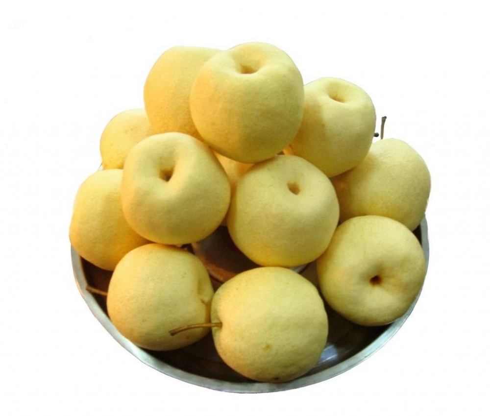 点击大图看下一张：一组黄澄澄的梨子图片