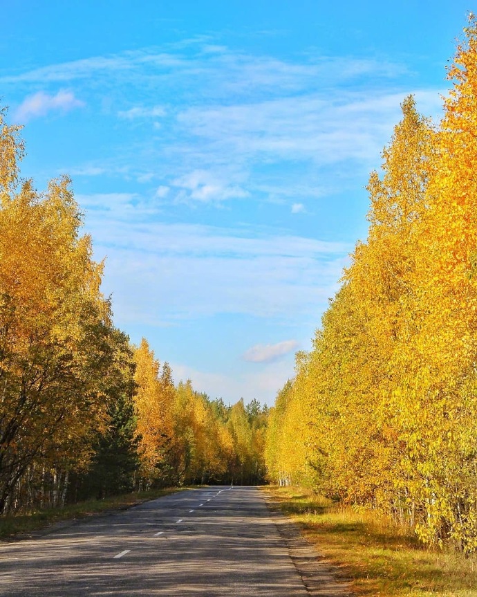 点击大图看下一张：黄色的树叶搭配凉爽的秋天的美景