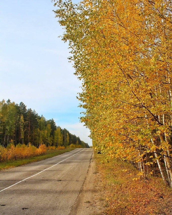 点击大图看下一张：黄色的树叶搭配凉爽的秋天的美景