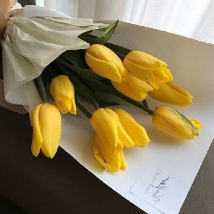 点击大图看下一张：郁金香花束也很好看哟