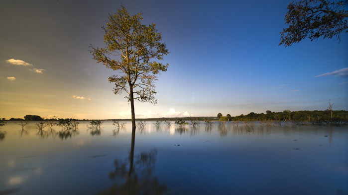 点击大图看下一张：一组树木水面倒影风景图片欣赏