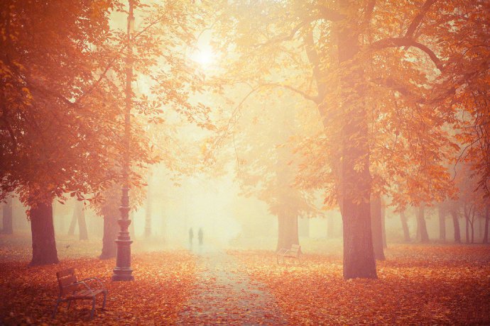 点击大图看下一张：一组林间秋色之美高清风景图欣赏