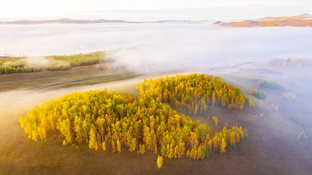 点击大图看下一张：秋日的蒙古草原高清桌面壁纸