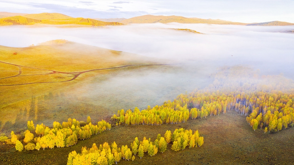 点击大图看下一张：秋日的蒙古草原高清桌面壁纸