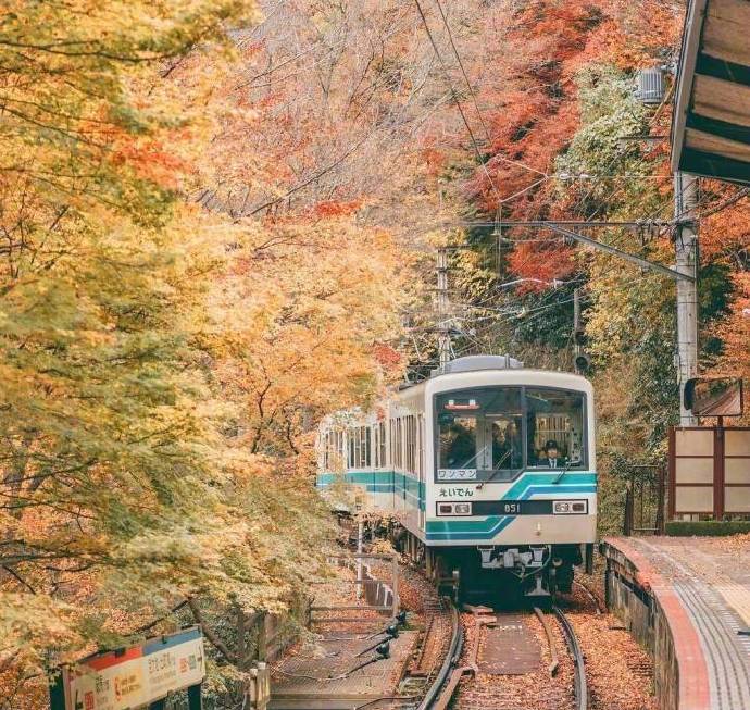 点击大图看下一张：日本的秋天，充盈着静谧的美