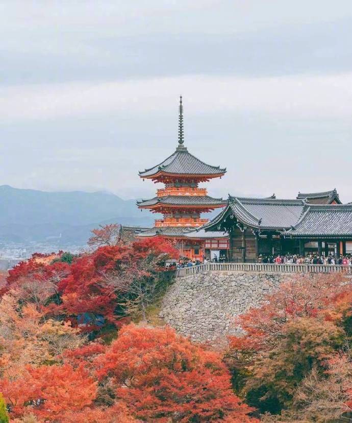 点击大图看下一张：日本的秋天，充盈着静谧的美
