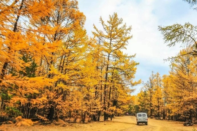点击大图看下一张：有一种美，叫贝加尔湖畔的金色秋天