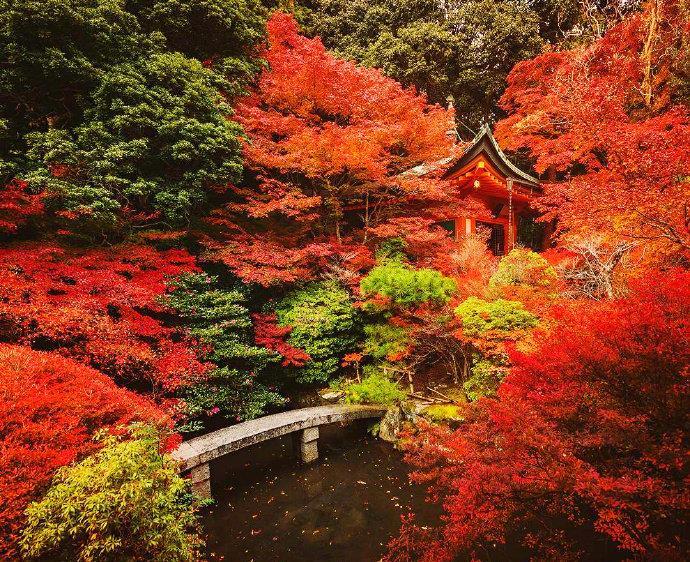 点击大图看下一张：日本醍醐寺，喜欢这种寂静美
