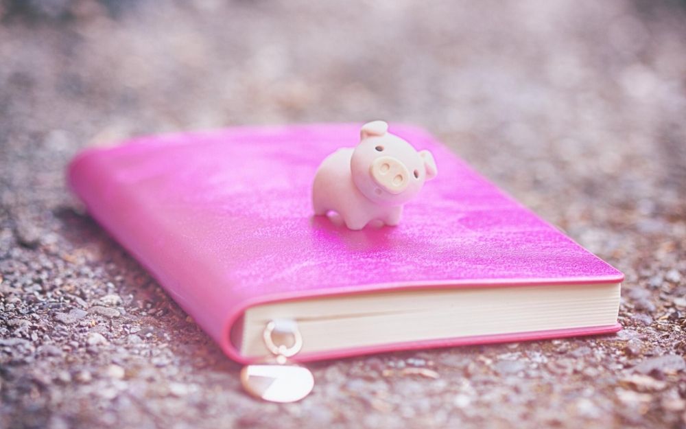 点击大图看下一张：可爱软萌的小猪静物图片桌面壁纸