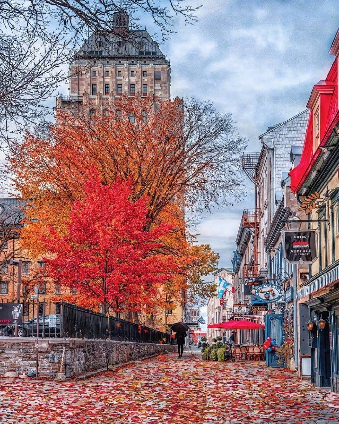 点击大图看下一张：秋日魁北克的红色枫叶