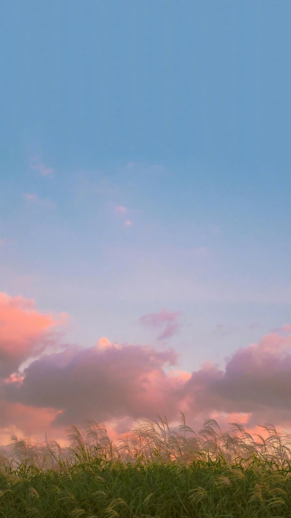 点击大图看下一张：粉色天空摄影手机壁纸图片
