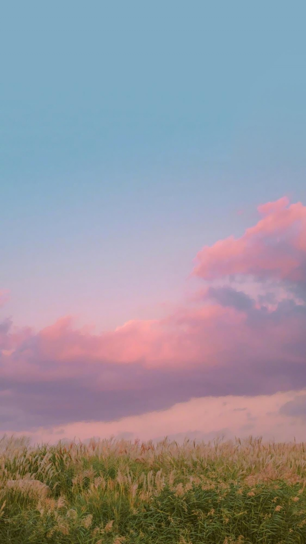 点击大图看下一张：粉色天空摄影手机壁纸图片
