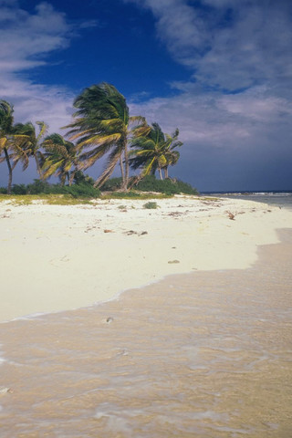 点击大图看下一张：加勒比海风景图片欣赏