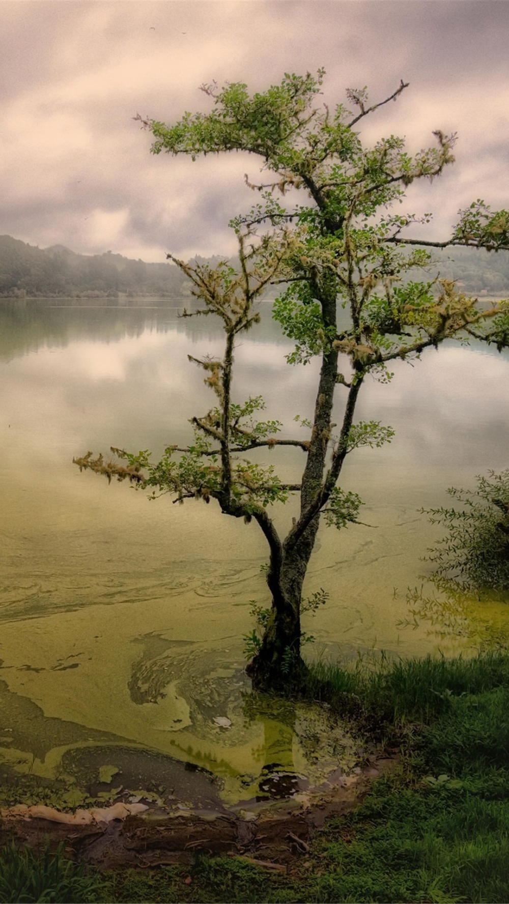 点击大图看下一张：一组湖泊山水风景手机壁纸