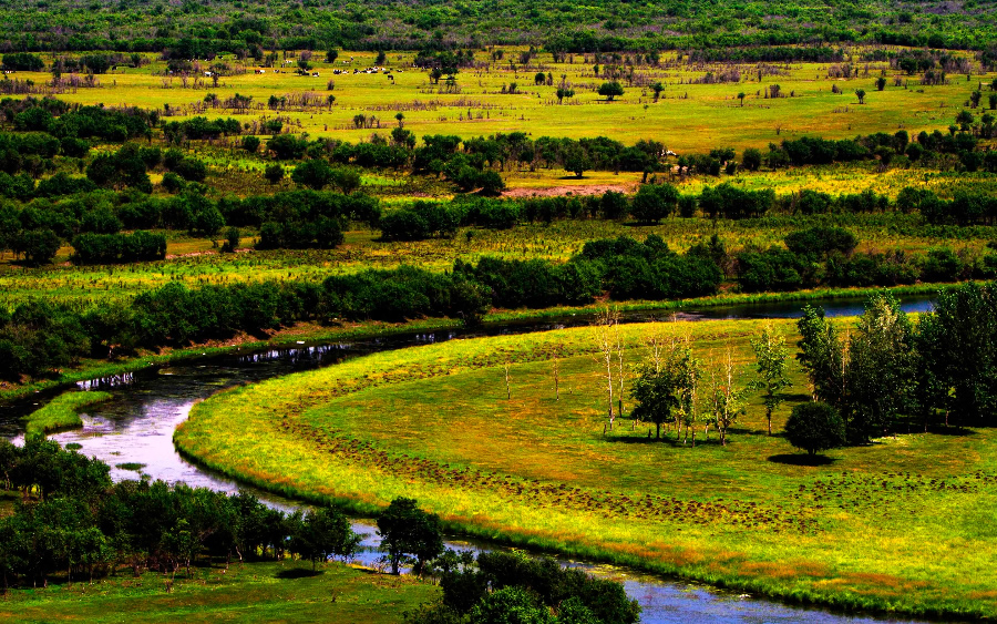 点击大图看下一张：美丽的呼伦贝尔大草原图片