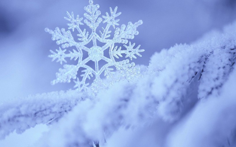 点击大图看下一张：一组晶莹剔透的雪花高清图片