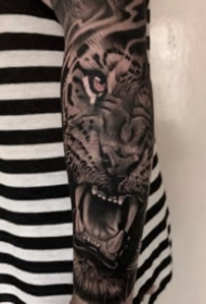 小臂老虎纹身 男生包小臂的黑灰写实老虎纹身图案
