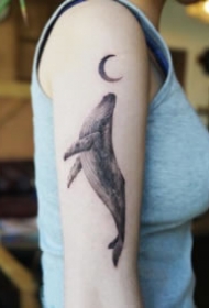 纹身鲸鱼图 9款好看的鲸鱼纹身图片