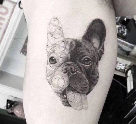 点击大图看下一张：一组可爱宠物沙皮狗的纹身图片