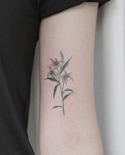 点击大图看下一张：素雅简约适合女生的胳膊上花草线条小纹身