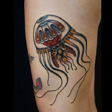 点击大图看下一张：海洋动物海螺水母章鱼等old school动物纹身图片
