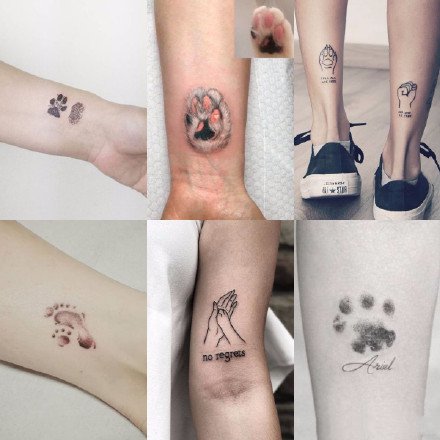点击大图看下一张：宠物纹身 小清新的9组可爱宠物猫狗纹身图片