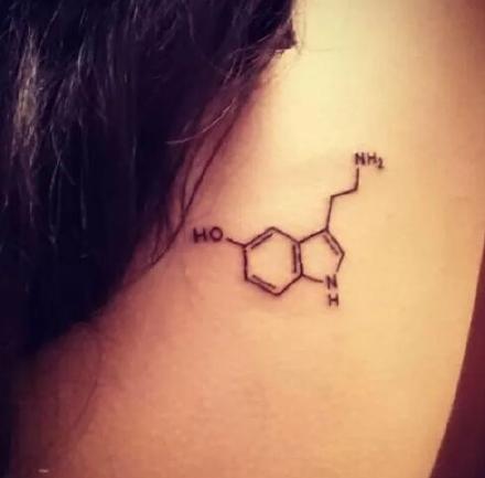 点击大图看下一张：9款多巴胺分子符号的纹身图案