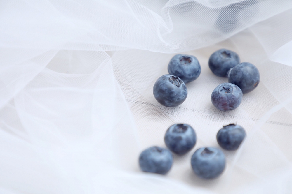 点击大图看下一张：一组小清新蓝莓图片欣赏