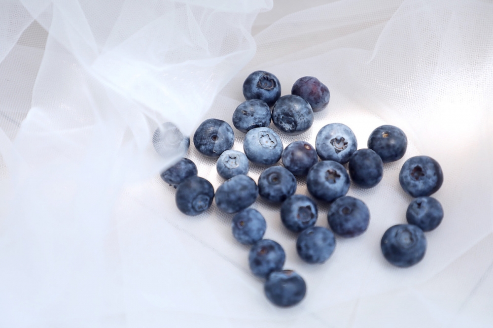 点击大图看下一张：一组小清新蓝莓图片欣赏
