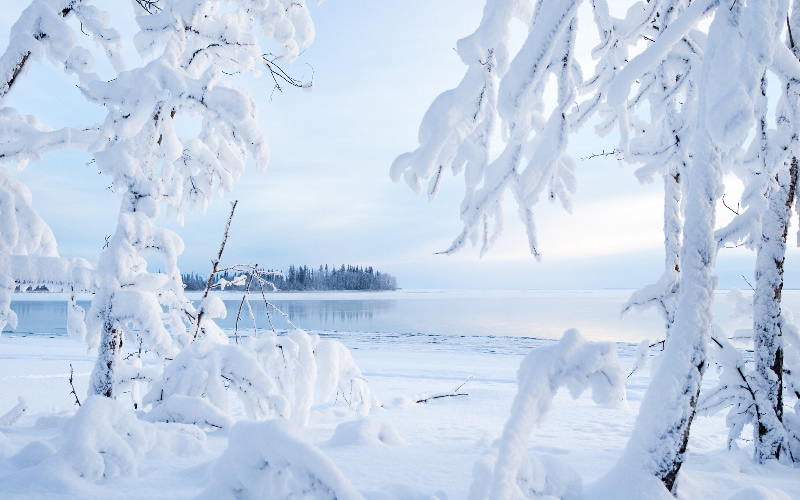 点击大图看下一张：加拿大雪景风光图片