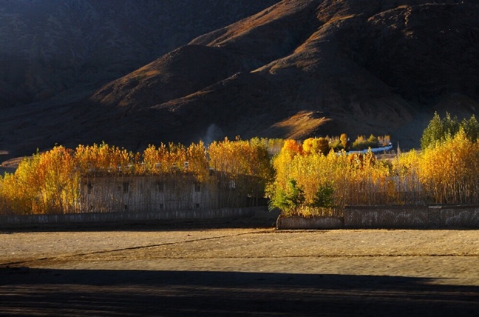 点击大图看下一张：西藏日喀则的秋天图片欣赏