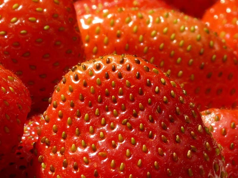 点击大图看下一张：新鲜的牛奶草莓实拍高清图片