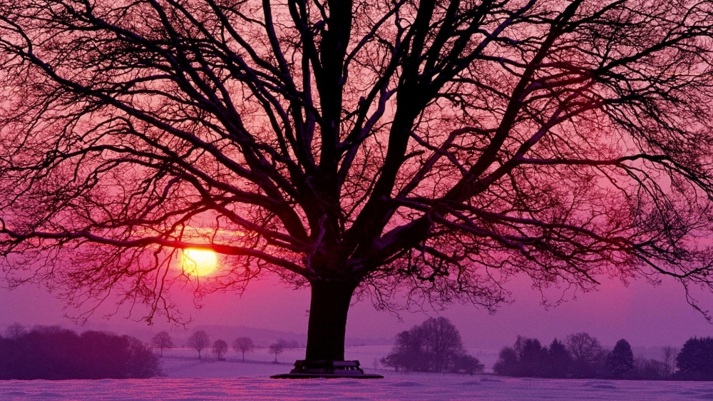 点击大图看下一张：冬季唯美夕阳景象桌面壁纸