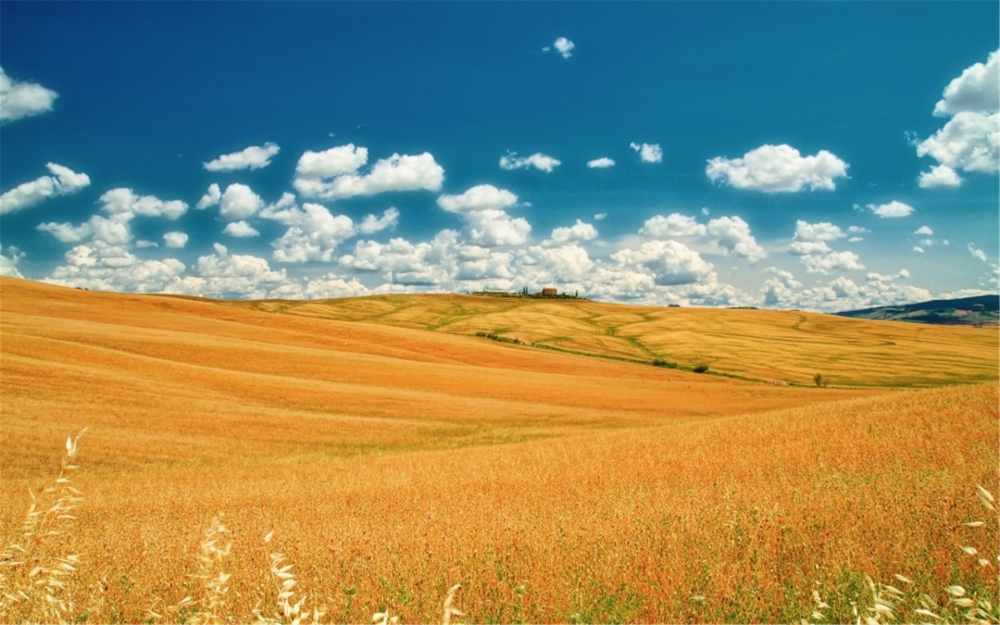 点击大图看下一张：草原田园风景高清桌面壁纸