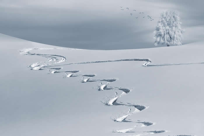 点击大图看下一张：冬日雪景唯美高清桌面壁纸