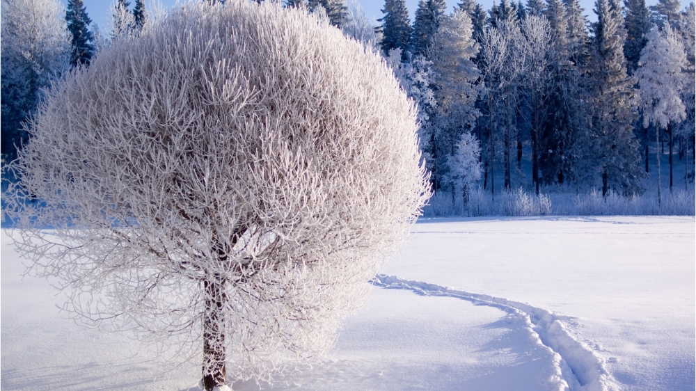 点击大图看下一张：精选唯美冬季雪景图片桌面壁纸