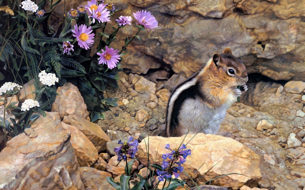 点击大图看下一张：一组春天里可爱的小松鼠图片欣赏