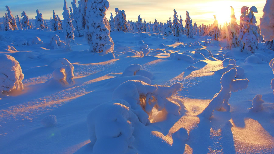 点击大图看下一张：一组唯美的雪景图片