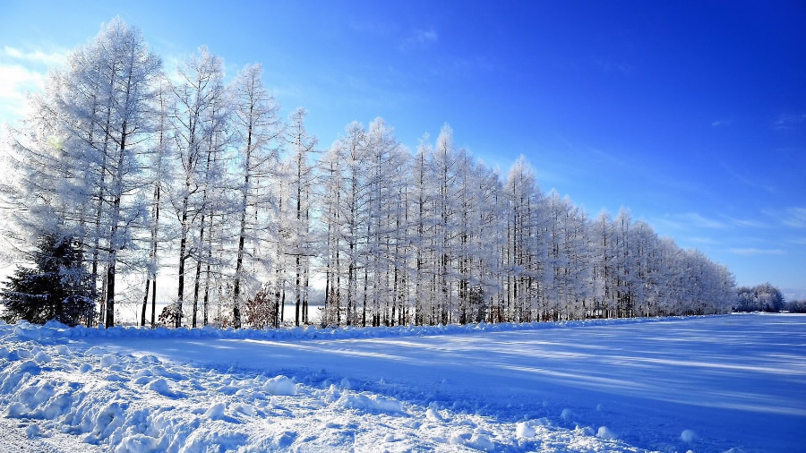 点击大图看下一张：一组唯美的雪景图片