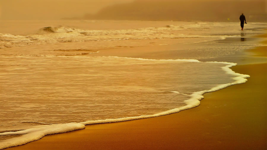点击大图看下一张：金黄的海滩图片