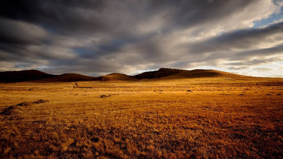 点击大图看下一张：内蒙古坝上草原秋季风景