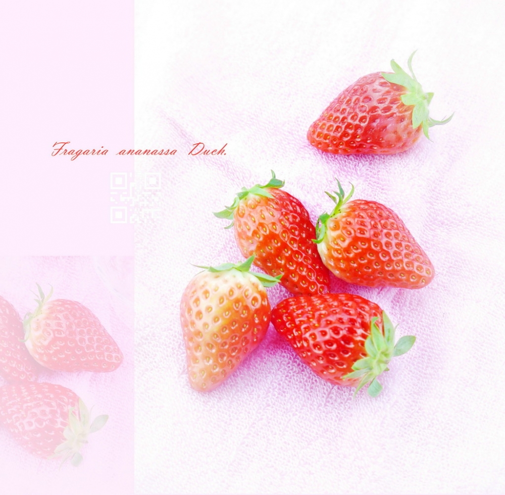 点击大图看下一张：粉嫩清新草莓艺术图片欣赏