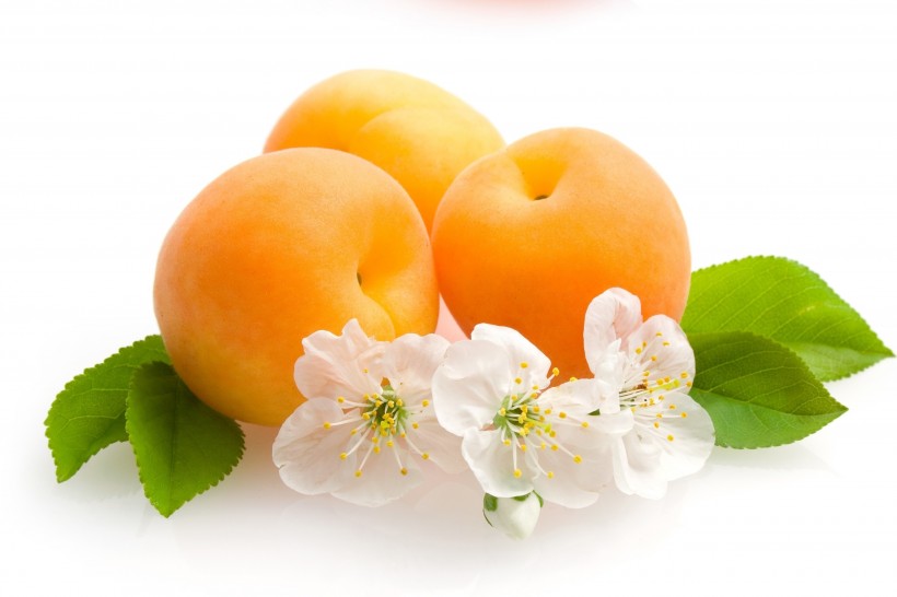 点击大图看下一张：一组汁多味甜的杏子图片欣赏