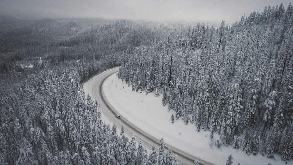 点击大图看下一张：冬季白雪皑皑的森林图片