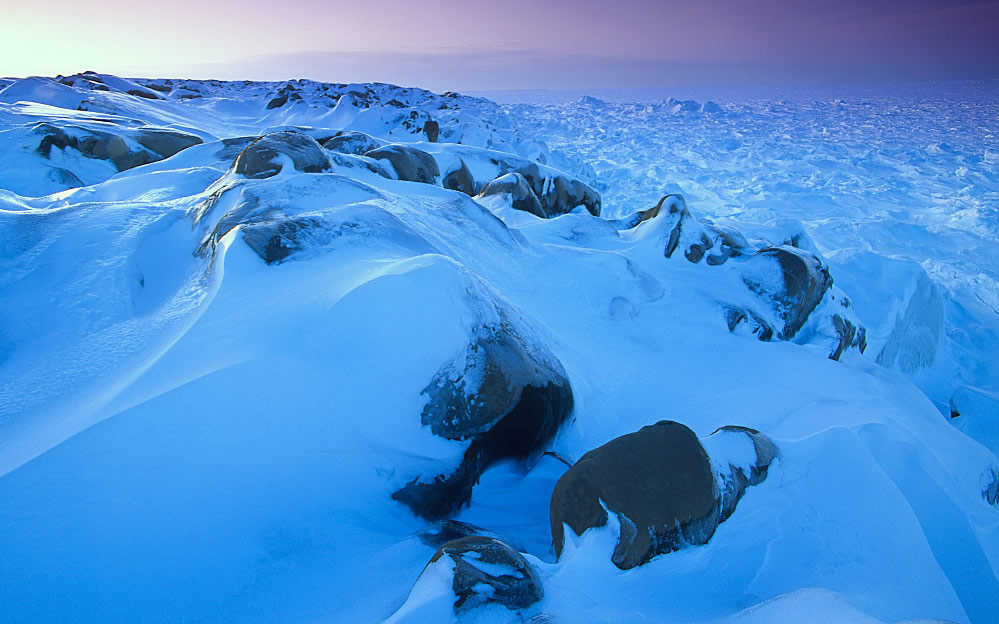 点击大图看下一张：极地冰雪风景图片