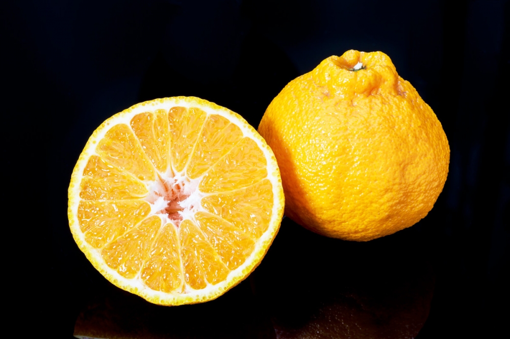 点击大图看下一张：一组吃起来脆甜的橘子图片欣赏