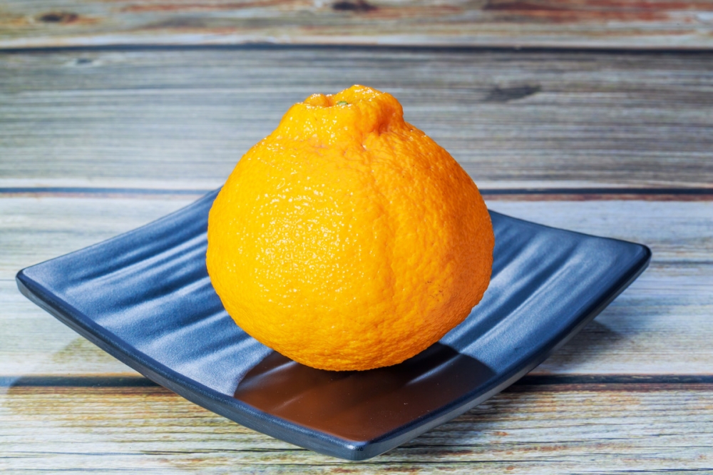 点击大图看下一张：一组甜甜的四川丑橘图片欣赏
